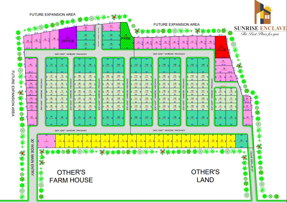 Layout